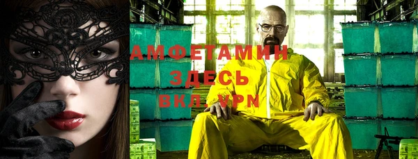 стаф Аркадак