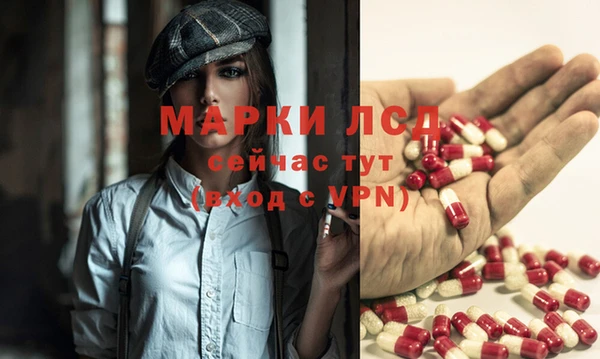 стаф Аркадак