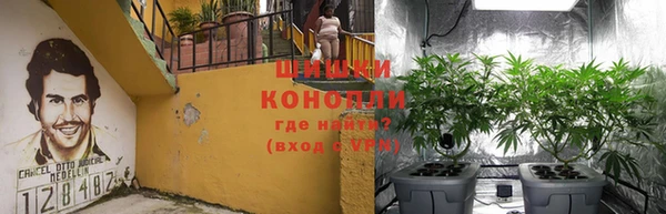 эйфоретик Балахна