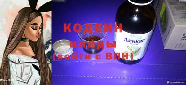 стаф Аркадак